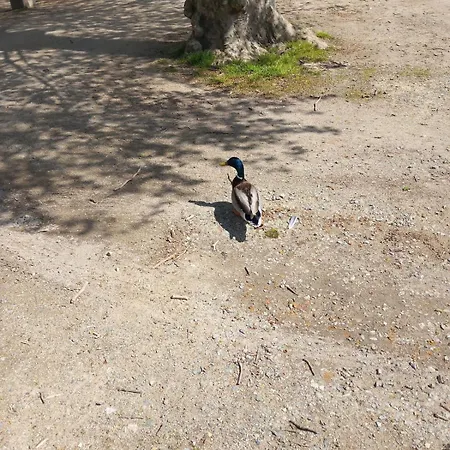 Centre Bernard Appartamento