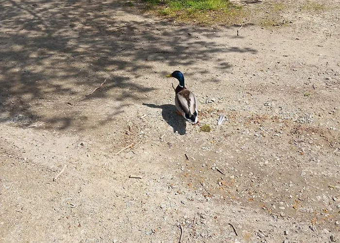 Centre Bernard Appartamento